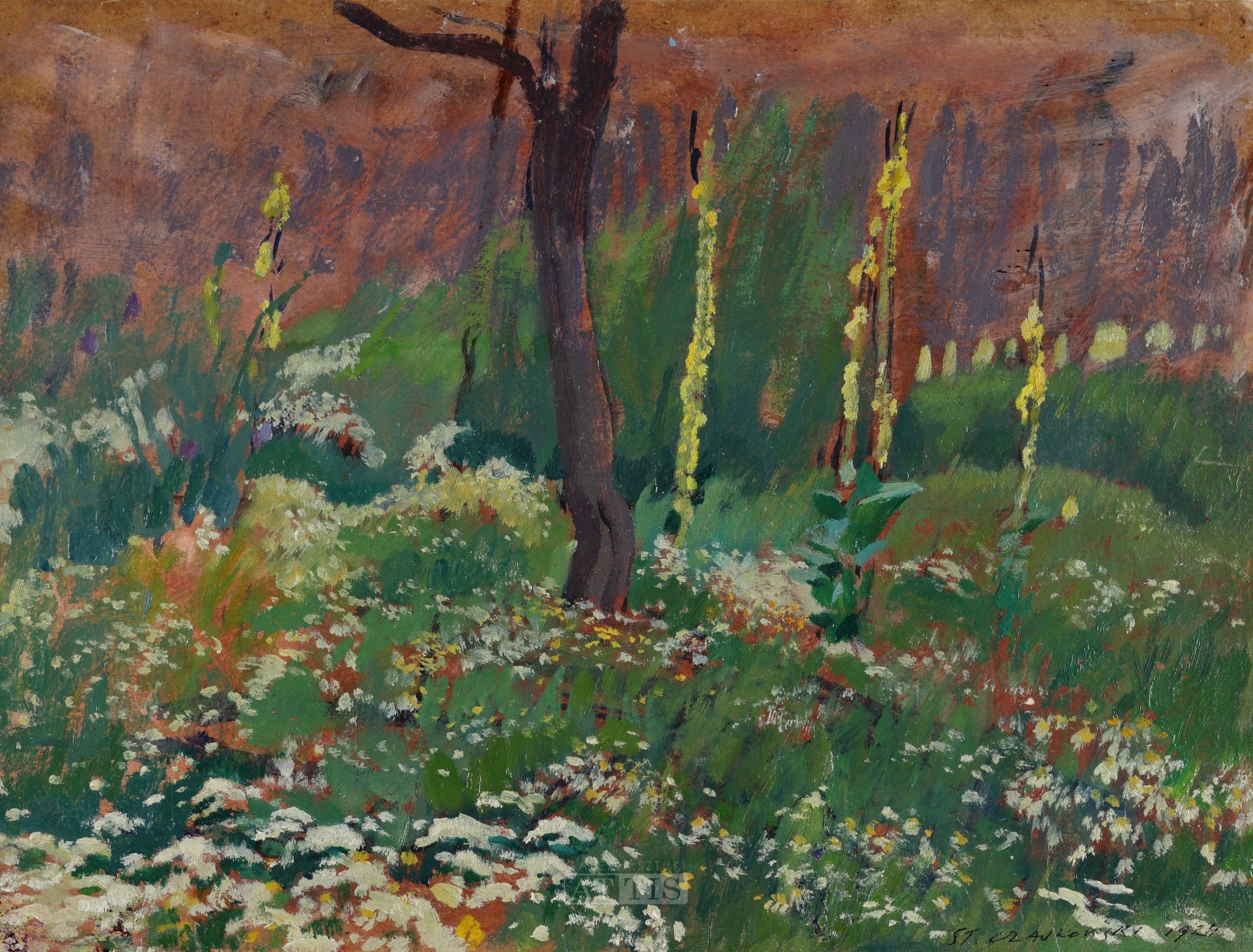 CZAJKOWSKI Stanisław