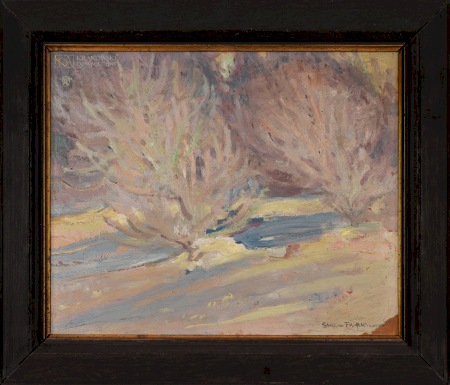 FILIPKIEWICZ Stefan Zima