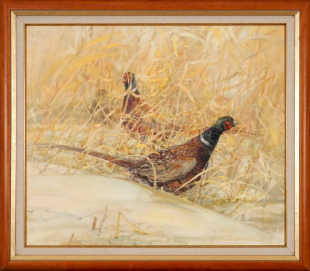 PIELUCHA Daniel Bażanty