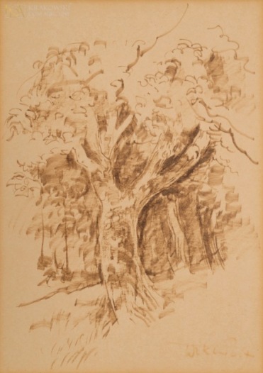 ZIN Wiktor Stare drzewo