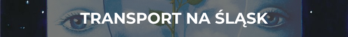 Transport na Śląsk