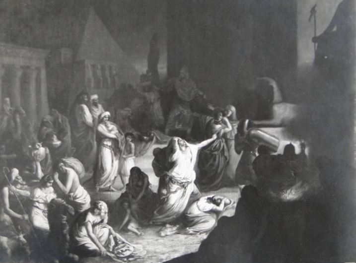 Fotografia z archiwum Muzeum Narodowego 