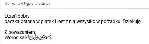 opinia o Galerii Sztuki Attis